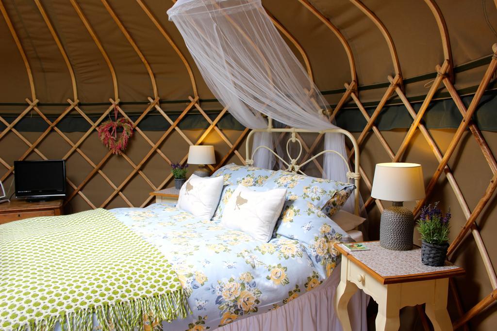Sunbank Accommodation Лланголлен Екстер'єр фото